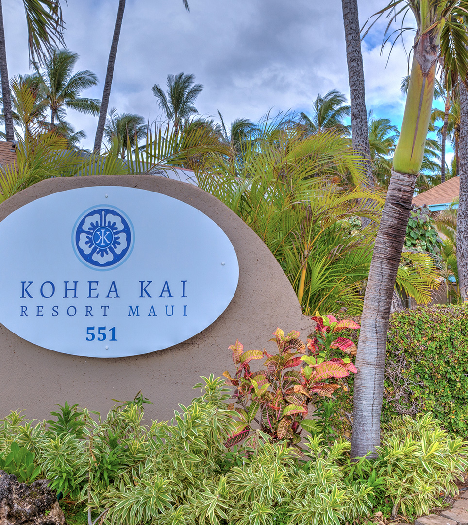 Live Webcam - Kohea Kai Maui