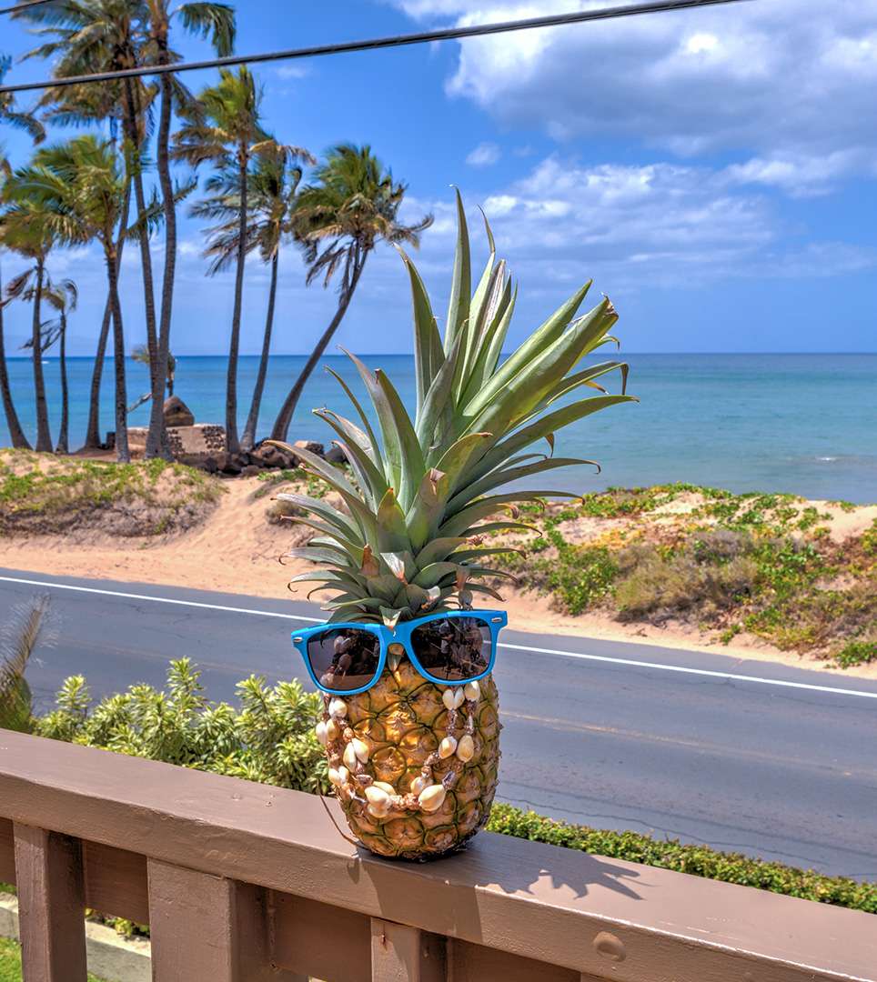 GET AN ACCURATE WEATHER FORECAST FOR MAUI, HI